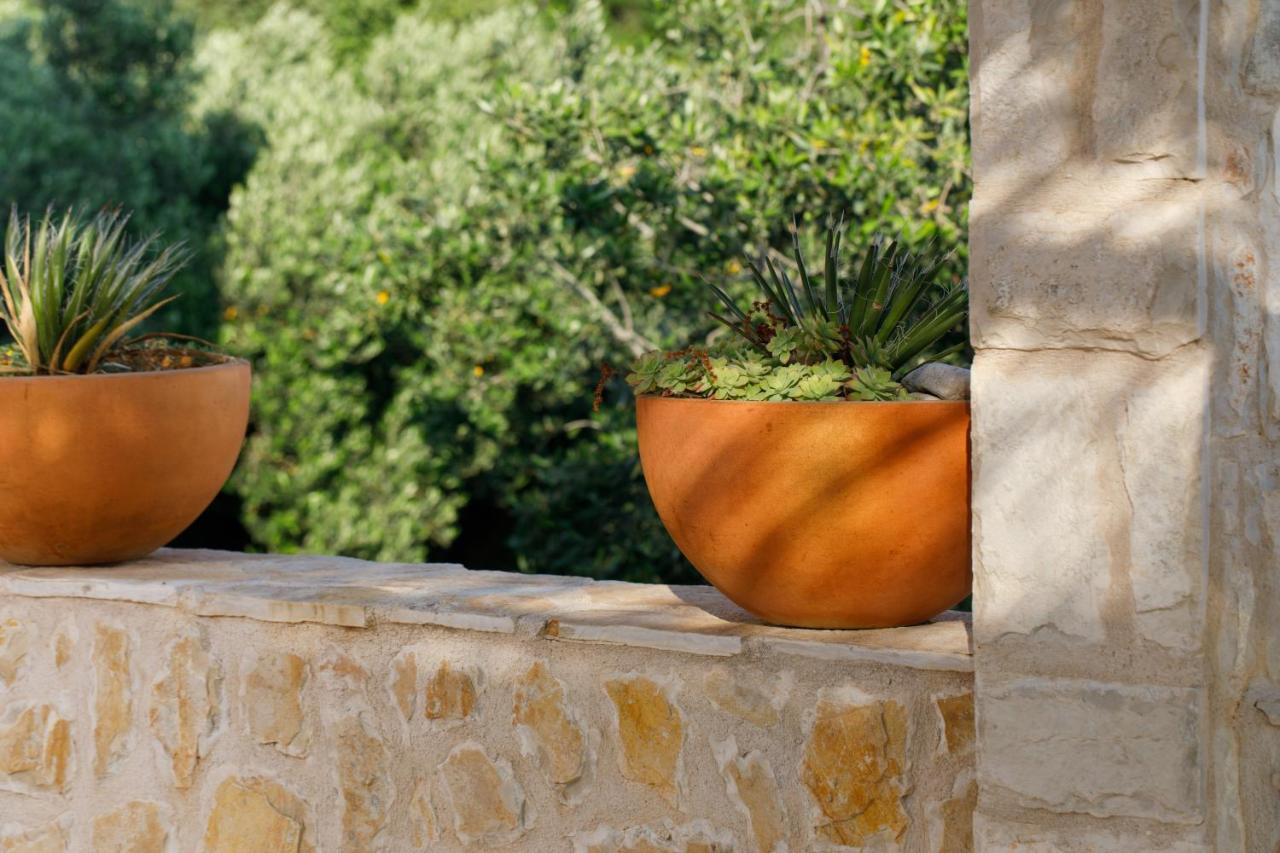 Villa Vito Zarace Exterior photo
