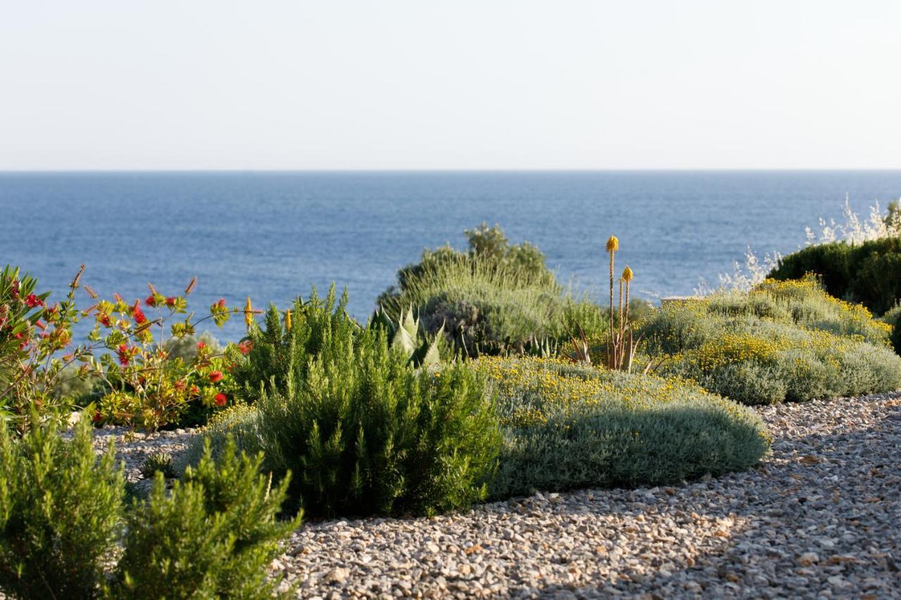 Villa Vito Zarace Exterior photo